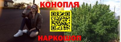a pvp Боровичи